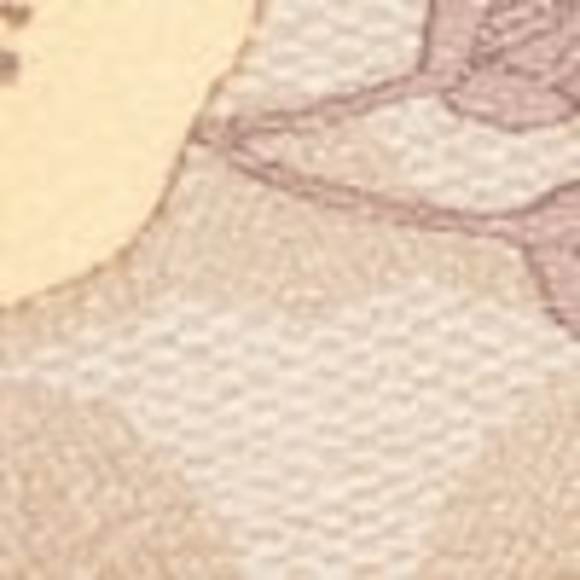 NWT Coach Outlet Clip Low Top Sneaker In Signature Canvas With Floral Print - Picture 5 of 6